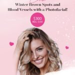 Terrasse-February-2021-Newsletter_02